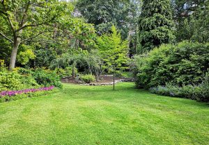 Optimiser l'expérience du jardin à Chessy-les-Pres